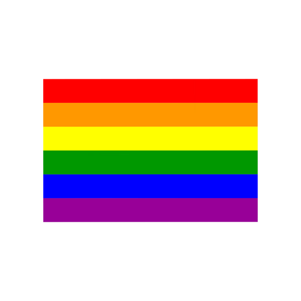 LGBTQ Pride Flag High Quality Vinyl Sticker Decal